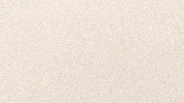 istock Paper texture cardboard background. Grunge old paper surface texture 1317421134