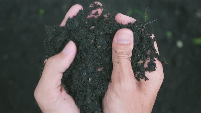 Man hands holding compost, organic soil, natural fertilizer, Agriculture and fertility concept