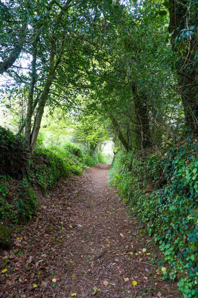 istock Poul Fetan Walk 1317424332