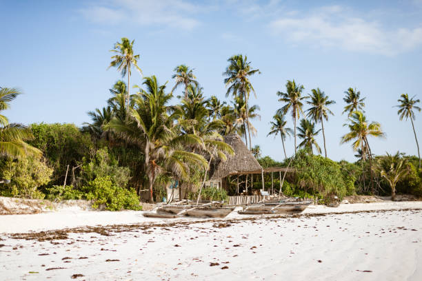 istock Wave of Zanzibar beach 1317425860