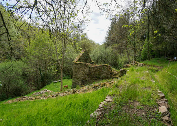 istock Poul Fetan Walk 1317425902