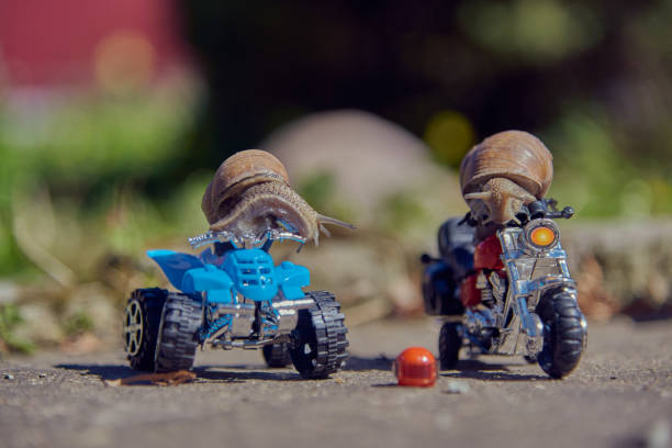 istock One snail on a quad bike, the second on a motorcycle on a blurry background. 1317429395