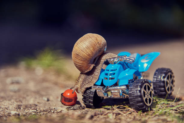 istock A grape snail on a blue toy ATV. Selective focus on the snail's head. 1317429425
