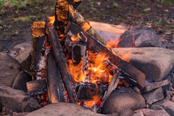 istock Firewood fire on the bank of a mountain spring river 1317429528