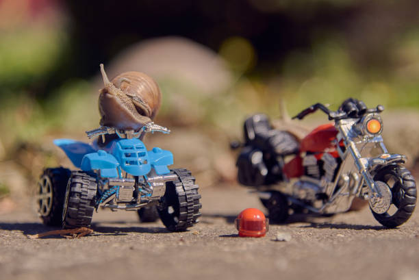 istock A grape snail on a blue ATV, with a motorcycle nearby. 1317431025