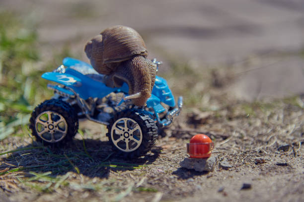 istock A grape snail on a blue toy ATV. Selective focus on the snail's head. 1317431764