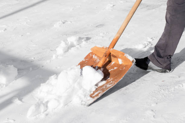 istock Snow removal with a special snow shovel 1317432207