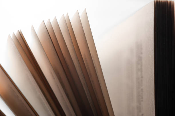 istock Pages of an open book in rays of light 1317432229