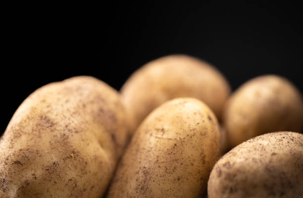Unpeeled potato on a black background