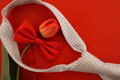 Happy fathers day greeting card concept with a red bow, necktie and colorful orange red spring tulip over a red background, top view flat lay with copy space