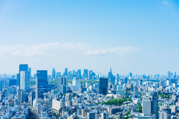 istock Panoramic view of central Tokyo 1317434231