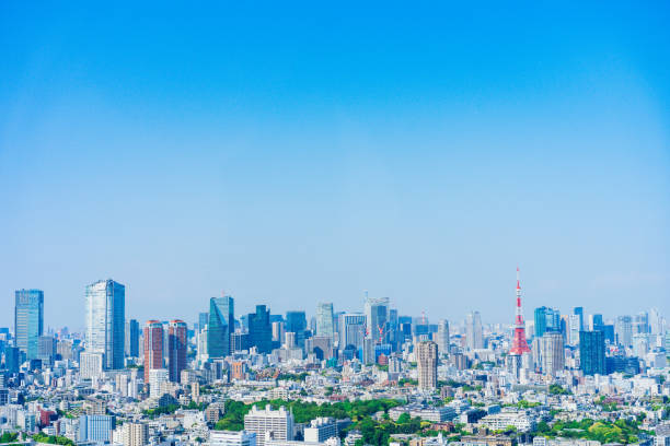 panoramic view of central tokyo - tokyo prefecture tokyo tower japan cityscape imagens e fotografias de stock