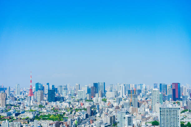 istock Panoramic view of central Tokyo 1317434273