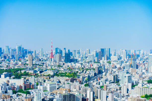 istock Panoramic view of central Tokyo 1317434297