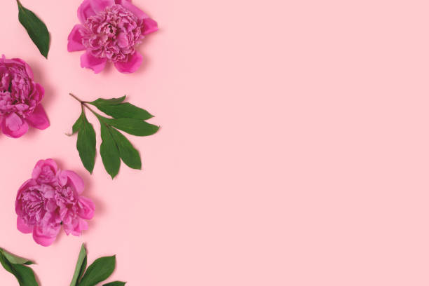 istock Border frame made of green leaves and peony flowers pattern. 1317438376