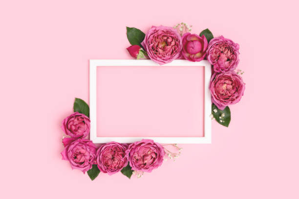 istock Flower border frame made of rose on a pink pastel background. 1317438437