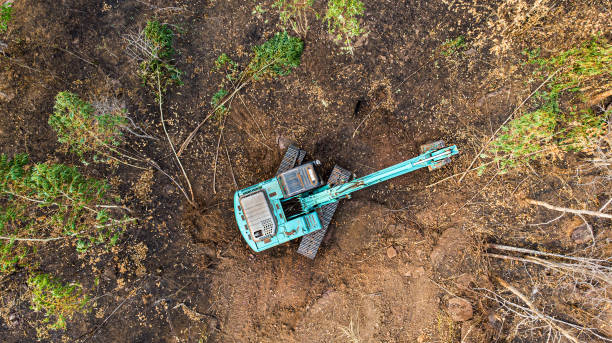 istock The top view of the deforestation. 1317438474