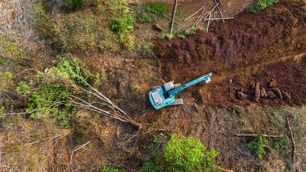 istock The top view of the deforestation. 1317438518