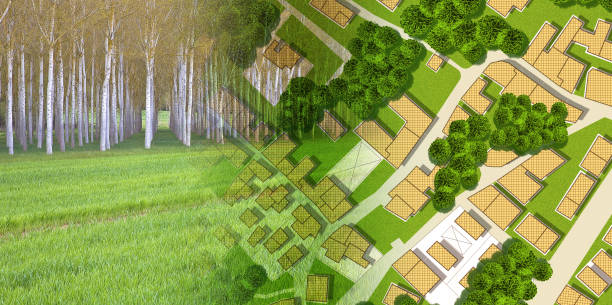 Imaginary topographic cadastral map and land parcels of territory with trees on background and buildable vacant land for sale - concept image