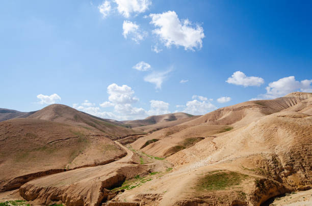 istock Desert landscape near Jerusalem, Israel. 1317438736