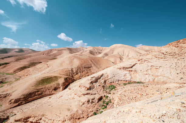 istock Desert landscape near Jerusalem, Israel. 1317438755