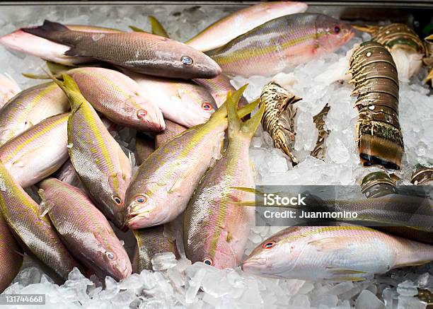 Foto de Mercado De Peixes e mais fotos de stock de Alimentação Saudável - Alimentação Saudável, Animal, Animal morto