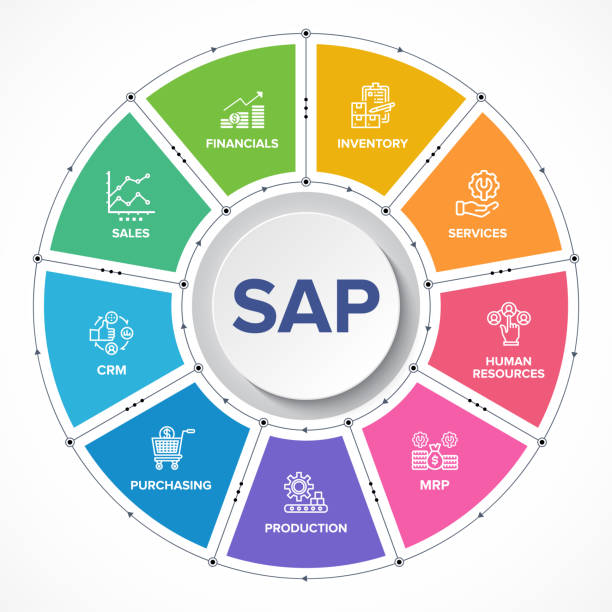 illustrazioni stock, clip art, cartoni animati e icone di tendenza di icone vettoriali del modulo di costruzione erp (sap enterprise resource planning) - hannah