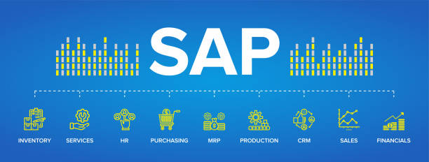 illustrazioni stock, clip art, cartoni animati e icone di tendenza di icone vettoriali del modulo di costruzione erp (sap enterprise resource planning) - hannah