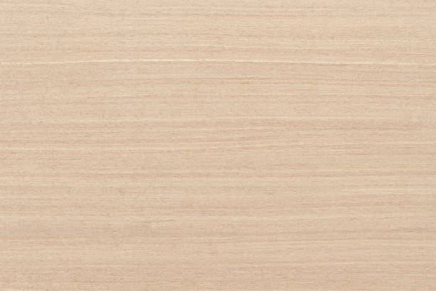 istock Plywood texture background, wooden surface in natural pattern for design art work. 1317452000