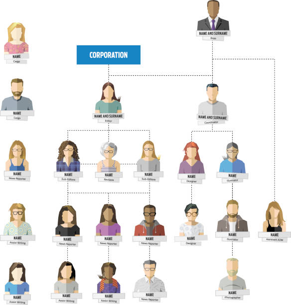 Avatars for business organization chart. Vector profile of each employee of the company. Organization of positions Avatars for business organization chart. Vector profile of each employee of the company. Organization of positions civil servant stock illustrations