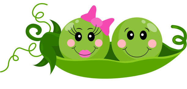 zwei baby-baby-erbsen in einer hülse - green pea pea pod vegetable cute stock-grafiken, -clipart, -cartoons und -symbole