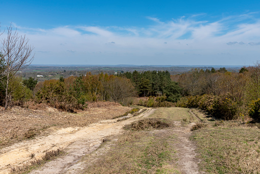 Ashdown Forest, East Sussex, England, UK, is the inspiration for the 'Winnie the Pooh' stories by AA Milne and is known as 'The Hundred Acre Wood' in the stories.