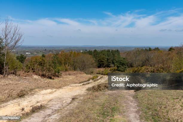 Ashdown Forest Stock Photo - Download Image Now - Ashdown Forest, 2021, A.A. Milne