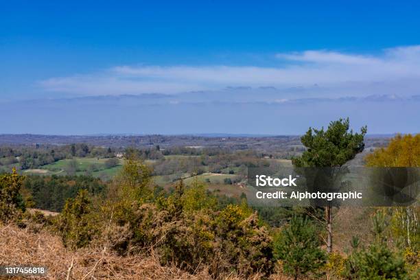 Ashdown Forest Stock Photo - Download Image Now - Ashdown Forest, East Sussex, 2021