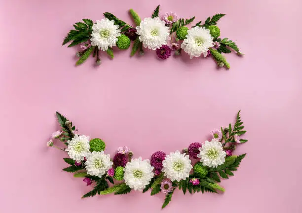 Flowers composition of colorful flowers chrysanthemum isolated on pink background. Summer wreath of chrysanthemum flowers. Flat lay.