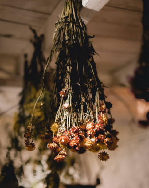 istock Bouquets of dry flowers hanging from the ceiling 1317462111