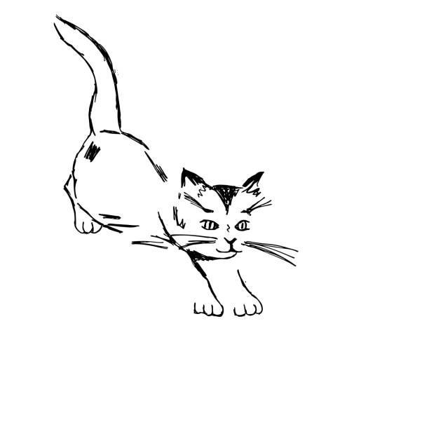 istock Vector hand drawn illustration of a small cat jumping. Sketch. 1317463002