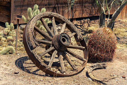 Wagon wooden wheel in a desert landscape with cactus plants