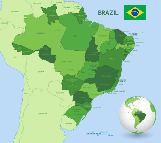 ilustrações, clipart, desenhos animados e ícones de vetor isolou ilustração de mapa administrativo simplificado do brasil. fronteiras das regiões. silhuetas verdes coloridas - brasil mapa