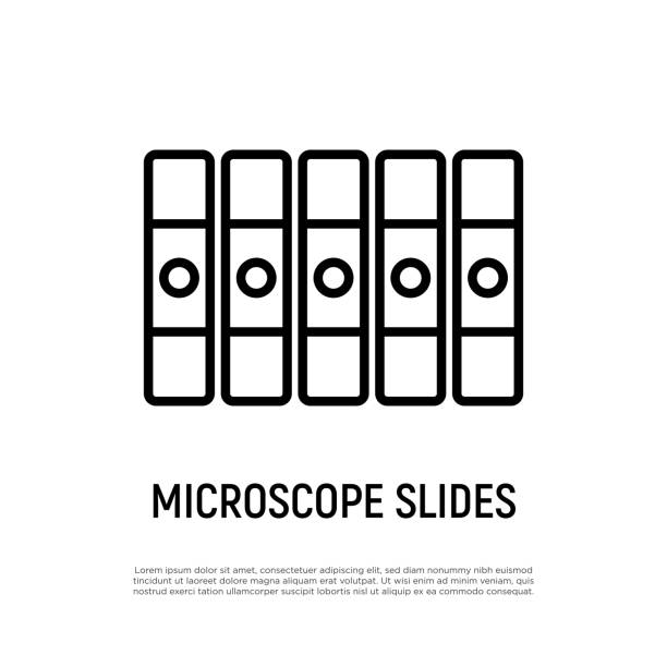 顕微鏡スライド細線アイコン。実験室用機器。医療検査。ベクターの図。 - microscope slide点のイラスト素材／クリップアート素材／マンガ素材／アイコン素材