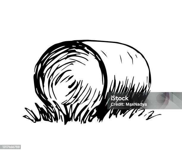 Haystack Texture Drawing Simple Hand Drawn Vector Drawing In Engraving Style Round Haystack ...