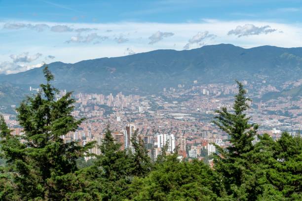 istock City landscape with trees and blue sky 1317467632