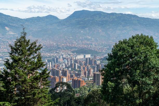 istock City landscape with trees and blue sky 1317467710