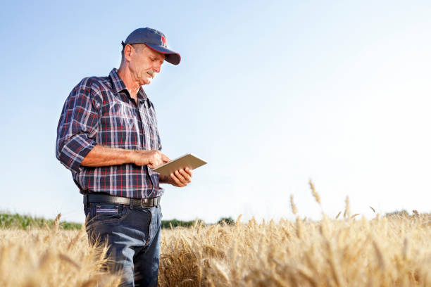 istock Senior man with a cap on his head looking at digital tablet 1317467832
