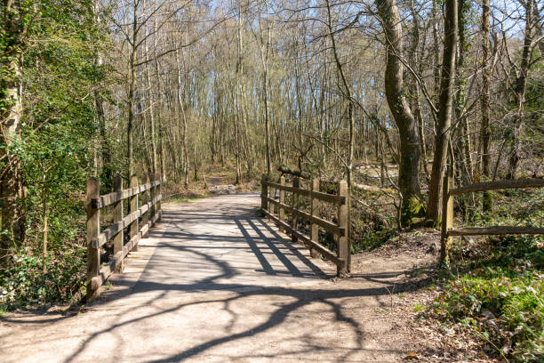 Bridge in Ashdown Forest Ashdown Forest, East Sussex, England, UK, is the inspiration for the 'Winnie the Pooh' stories by AA Milne and is known as 'The Hundred Acre Wood' in the stories. This is NOT the bridge that Christopher Robin played 'Pooh Sticks' from it is one that is 50 yards from it. a.a. milne photos stock pictures, royalty-free photos & images
