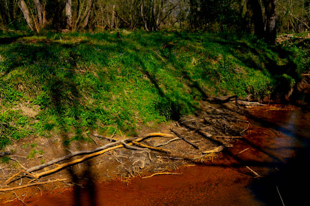 River near Winnie The Pooh Bridge in Ashdown Forest