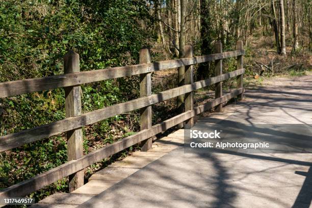 Bridge In Ashdown Forest Stock Photo - Download Image Now - 2021, A.A. Milne, Animal
