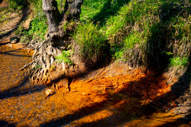 istock River near Winnie The Pooh Bridge in Ashdown Forest 1317469619