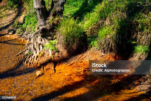 River Near Winnie The Pooh Bridge In Ashdown Forest Stock Photo - Download Image Now