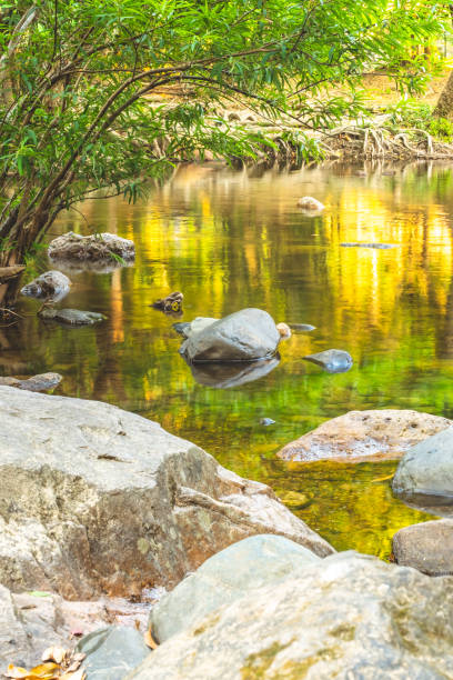 istock Jungle landscape with amazing stream at deep tropical rain forest 1317471804